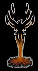 Ashes to Ascent Coaching